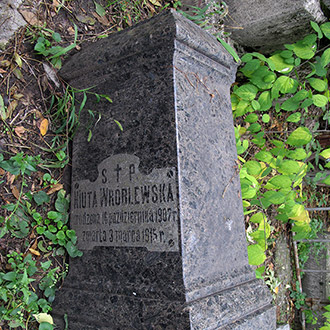 Старое кладбище Таганрога. Niuta Wróblewska