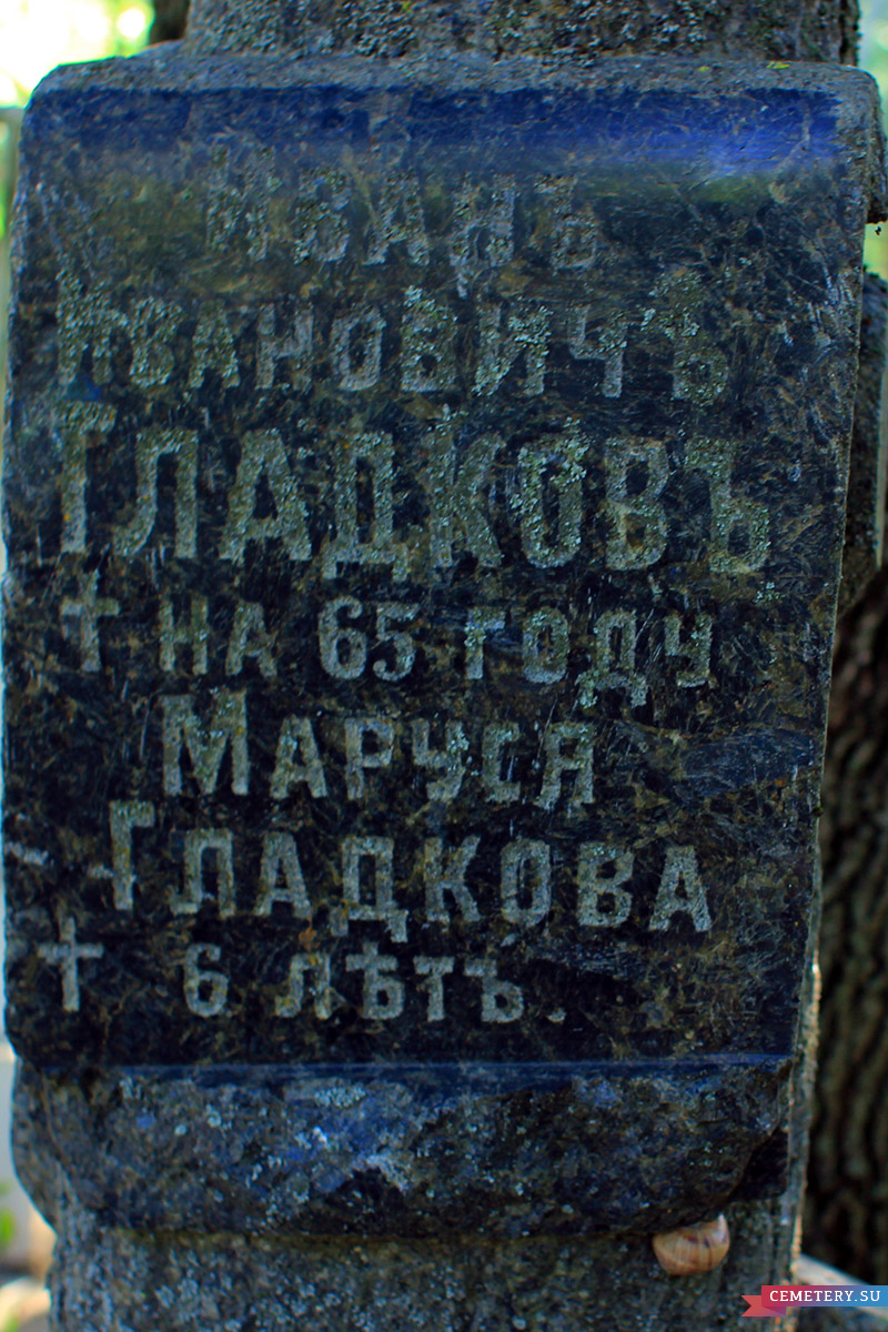 Старое кладбище Таганрога. Гладковы (дерево)