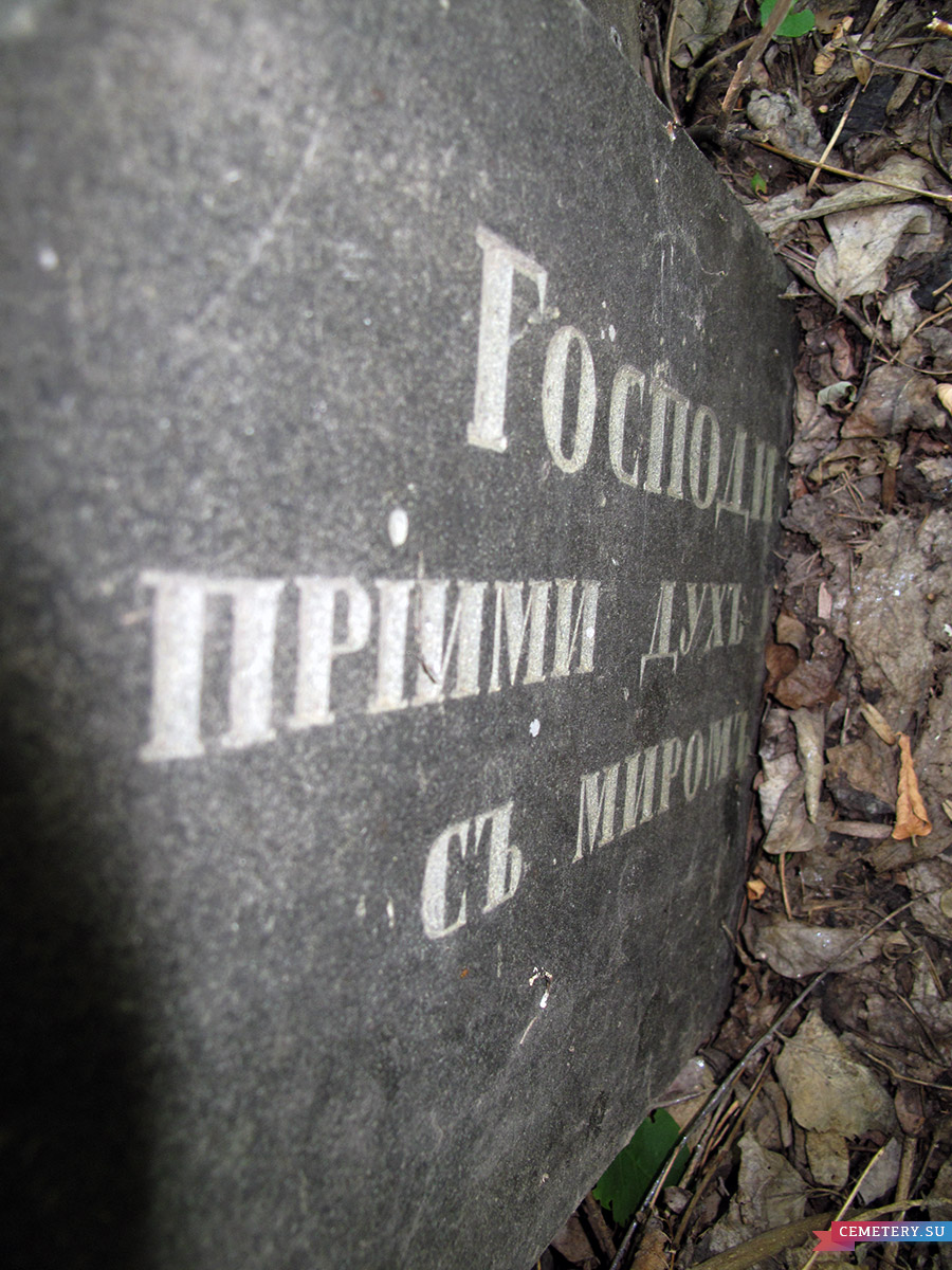 Старое кладбище Таганрога. Шапошниковы