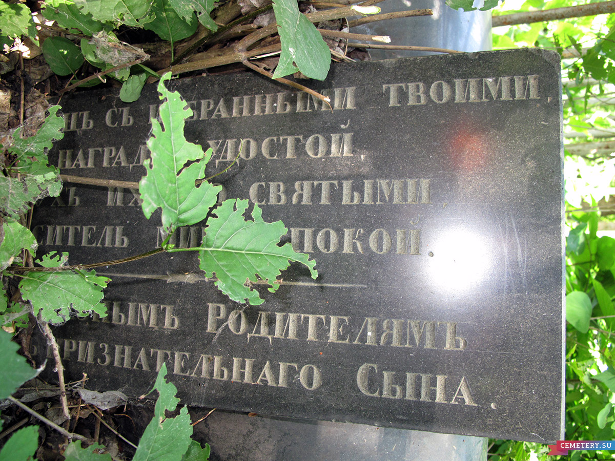 Старое кладбище Таганрога. Шапошниковы