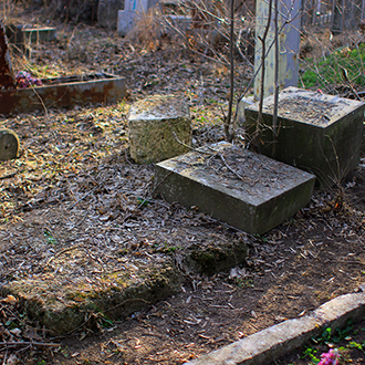 Старое кладбище Таганрога. Леон Чижес